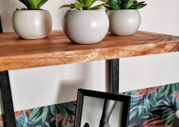 Les 4 Reflets De La Marne