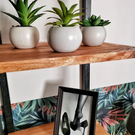 Les 4 Reflets De La Marne